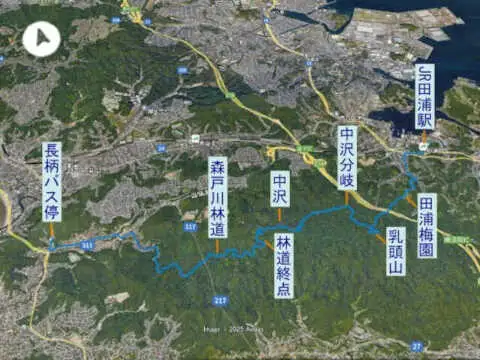 三浦アルプス・田浦梅園から中沢登山コース