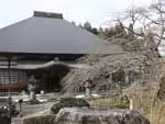 大きなこみでかえでで知られる臨…