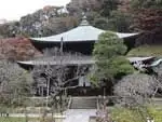 夢窓疎石を開山とする鎌倉五山文…