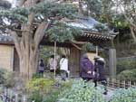 竹の寺と呼ばれる臨済宗のお寺